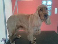 /album/fenykepgaleria/a2013-07-16-10-34-00-jpg1/